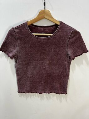 American Eagle Outfitters Ribbed Crop Tee in Washed Plum